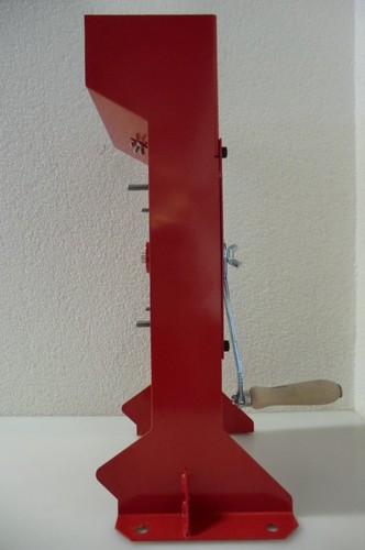 Knacki wal und haselnuss - wal,
