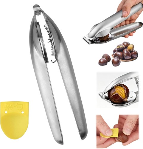 Maronenschneider mit gelbem